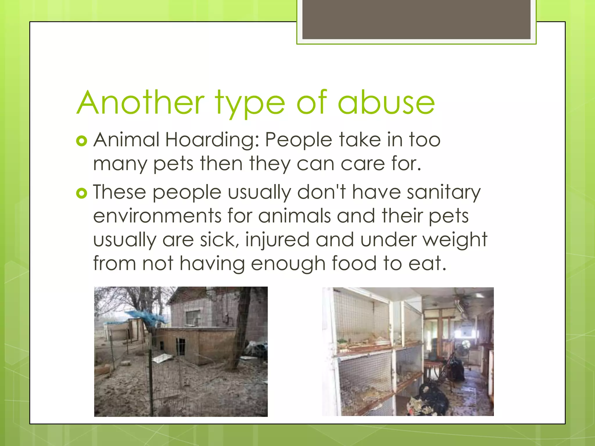 Animal abuse power point | PPTX