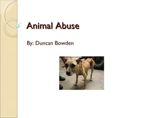 Animal Abuse By: Duncan Bowden 