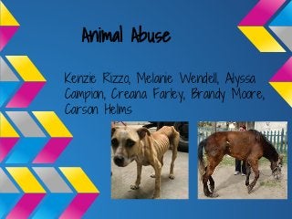 Animal Abuse
Kenzie Rizzo, Melanie Wendell, Alyssa
Campion, Creana Farley, Brandy Moore,
Carson Helms
 