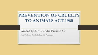 PREVENTION OF CRUELTY
TO ANIMALS ACT-1960
Guided by-Mr Chandra Prakash Sir
(Ass. Professor Apollo College Of Pharmacy)
 