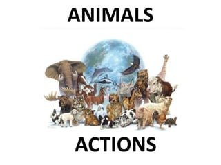 ANIMALS
ACTIONS
 