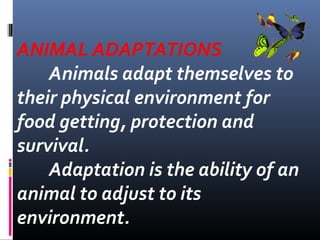 ANIMAL ADAPTATIONS
Animals adapt themselves to
their physical environment for
food getting, protection and
survival.
Adaptation is the ability of an
animal to adjust to its
environment.
 