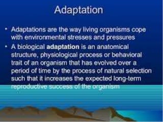 Animal adaptation 