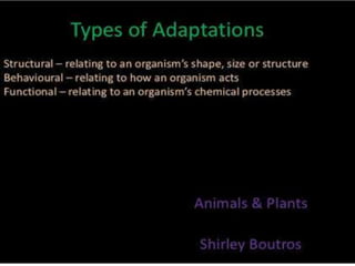 Animal adaptation 