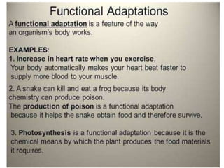 Animal adaptation 