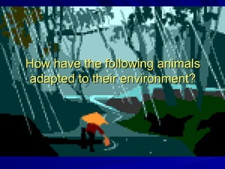 Animal adaptations | PPT