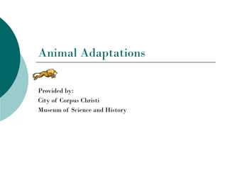 Animal Adaptations

Provided by:
City of Corpus Christi
Museum of Science and History
 