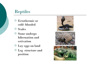Reptiles
   Ectothermic or
    cold- blooded
   Scales
   Some undergo
    hibernation and
    estivation
   Lay eggs on land
   Leg structure and
    position
 