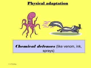 © A. Weinberg
Chemical defenses (like venom, ink,
sprays)
Physical adaptation
 
