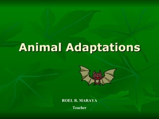 Animal Adaptations ROEL R. MARAYA Teacher 