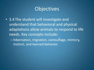Objectives
• 3.4 The student will investigate and
  understand that behavioral and physical
  adaptations allow animals to respond to life
  needs. Key concepts include:
  – hibernation, migration, camouflage, mimicry,
    instinct, and learned behavior.
 