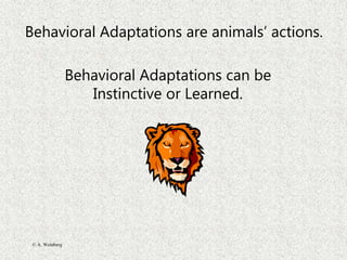 © A. Weinberg
Behavioral Adaptations are animals’ actions.
Behavioral Adaptations can be
Instinctive or Learned.
 