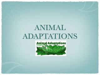 ANIMAL
ADAPTATIONS
 