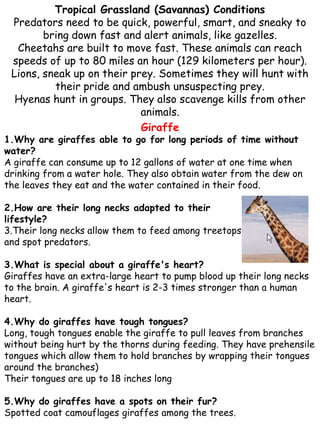 Paw Creek Animal adaptations | PDF