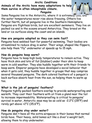 Paw Creek Animal adaptations | PDF