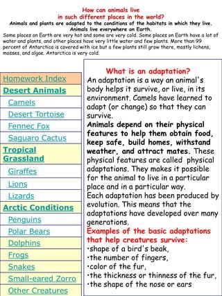 Homework Index
Desert Animals
Camels
Desert Tortoise
Fennec Fox
Saguaro Cactus
Tropical
Grassland
Giraffes
Lions
Lizards
Arctic Conditions
Penguins
Polar Bears
Dolphins
Frogs
Snakes
Small-eared Zorro
Other Creatures
What is an adaptation?
An adaptation is a way an animal's
body helps it survive, or live, in its
environment. Camels have learned to
adapt (or change) so that they can
survive.
Animals depend on their physical
features to help them obtain food,
keep safe, build homes, withstand
weather, and attract mates. These
physical features are called physical
adaptations. They makes it possible
for the animal to live in a particular
place and in a particular way.
Each adaptation has been produced by
evolution. This means that the
adaptations have developed over many
generations.
Examples of the basic adaptations
that help creatures survive:
•shape of a bird's beak,
•the number of fingers,
•color of the fur,
•the thickness or thinness of the fur,
•the shape of the nose or ears
How can animals live
in such different places in the world?
Animals and plants are adapted to the conditions of the habitats in which they live.
Animals live everywhere on Earth.
Some places on Earth are very hot and some are very cold. Some places on Earth have a lot of
water and plants, and other places have very little water and few plants. More than 99
percent of Antarctica is covered with ice but a few plants still grow there, mostly lichens,
mosses, and algae. Antarctica is very cold.
 