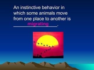 An instinctive behavior in which some animals move from one place to another is _________________. migrating 