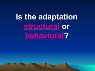 Is the adaptation  structural  or  behavioral ? 