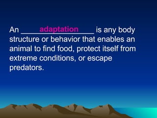 An _________________ is any body structure or behavior that enables an animal to find food, protect itself from extreme conditions, or escape predators. adaptation 