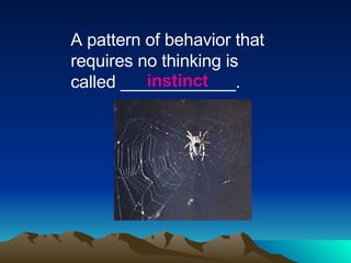 A pattern of behavior that requires no thinking is called ____________. instinct 
