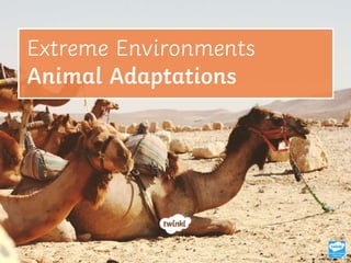Extreme Environments
Animal Adaptations
 