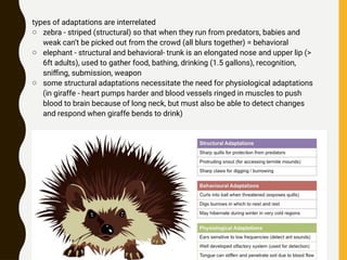 Animal Adaptations Lecture for High School Zoology | PPTX