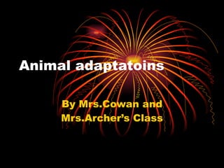 Animal adaptatoins By Mrs.Cowan and Mrs.Archer’s Class 