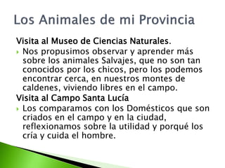 Visita al Museo de Ciencias Naturales. 
 Nos propusimos observar y aprender más 
sobre los animales Salvajes, que no son tan 
conocidos por los chicos, pero los podemos 
encontrar cerca, en nuestros montes de 
caldenes, viviendo libres en el campo. 
Visita al Campo Santa Lucía 
 Los comparamos con los Domésticos que son 
criados en el campo y en la ciudad, 
reflexionamos sobre la utilidad y porqué los 
cría y cuida el hombre. 
 