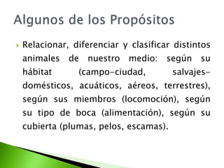  Relacionar, diferenciar y clasificar distintos 
animales de nuestro medio: según su 
hábitat (campo-ciudad, salvajes-domésticos, 
acuáticos, aéreos, terrestres), 
según sus miembros (locomoción), según 
su tipo de boca (alimentación), según su 
cubierta (plumas, pelos, escamas). 
 