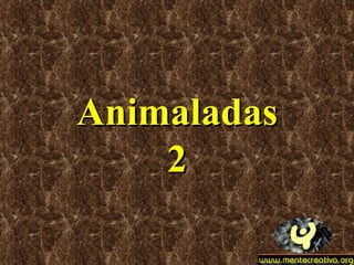 Animaladas 2 