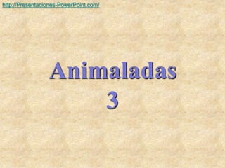 Animaladas
3
http://Presentaciones-PowerPoint.com/
 