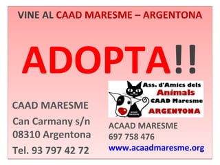 VINE AL CAAD MARESME – ARGENTONA 
ADOPTA!! 
CAAD MARESME 
Can Carmany s/n 
08310 Argentona 
Tel. 93 797 42 72 
ACAAD MARESME 
697 758 476 
www.acaadmaresme.org 
