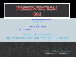 TOPIC:- ANIMAL ADAPTATIONS
PRESENTED
BY
MOHD ASIF KANTH
M.SC ZOOLOGY
BARKATULLAH UNIVERSITY (BHOPAL)
DEPTT. OF ZOOLOGY AND APPLIED AQUACULTURE
Email - asifkanth89@gmail.com
+919018533143 / +919697167585
 