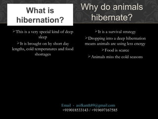 This is a very special kind of deep
sleep
It is brought on by short day
lengths, cold temperatures and food
shortages
It is a survival strategy
Dropping into a deep hibernation
means animals are using less energy
Food is scarce
Animals miss the cold seasons
What is
hibernation?
Why do animals
hibernate?
Email - asifkanth89@gmail.com
+919018533143 / +919697167585
 