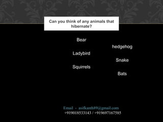 Bear
hedgehog
Ladybird
Snake
Squirrels
Bats
Can you think of any animals that
hibernate?
Email - asifkanth89@gmail.com
+919018533143 / +919697167585
 