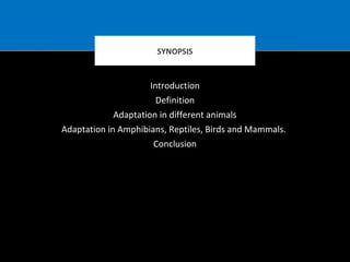 Introduction
Definition
Adaptation in different animals
Adaptation in Amphibians, Reptiles, Birds and Mammals.
Conclusion
SYNOPSIS
 