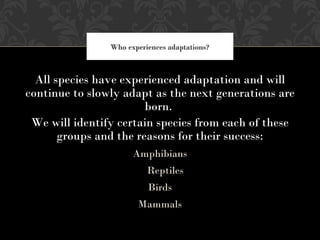 All species have experienced adaptation and will
continue to slowly adapt as the next generations are
born.
We will identify certain species from each of these
groups and the reasons for their success:
Amphibians
Reptiles
Birds
Mammals
Who experiences adaptations?
 