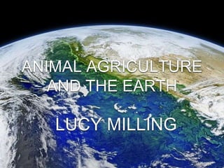 ANIMAL AGRICULTURE
AND THE EARTH
LUCY MILLING
 