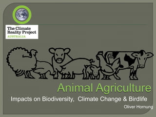 Impacts on Biodiversity, Climate Change & Birdlife
Oliver Hornung
 