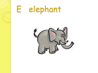 Animal Alphabet