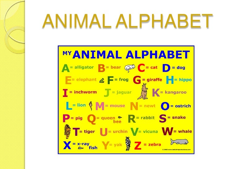 Animal Alphabet