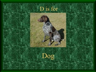 D is for Dog 