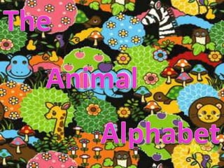 The Animal Alphabet 