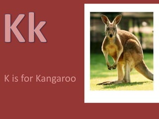 KkK is for Kangaroo