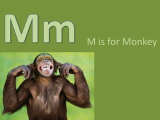 MmM is for Monkey