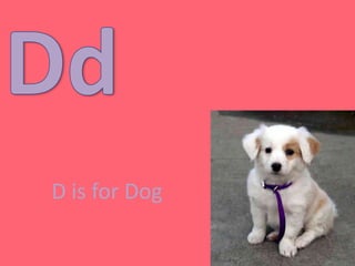 DdD is for Dog