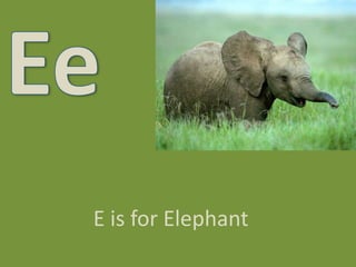 EeE is for Elephant