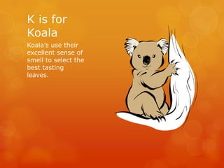 K is for
Koala
Koala’s use their
excellent sense of
smell to select the
best tasting
leaves.

 