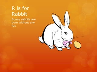 R is for
Rabbit
Bunny rabbits are
born without any
fur.

 