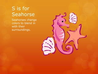 S is for
Seahorse
Seahorses change
colors to blend in
with their
surroundings.

 